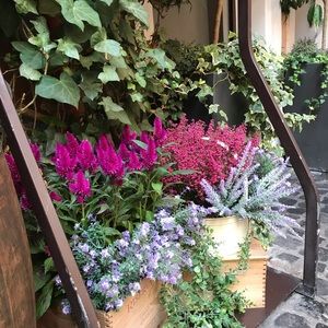 Meet your Posher, Leslie